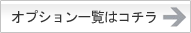 �I�v�V�����ꗗ�̓R�`��